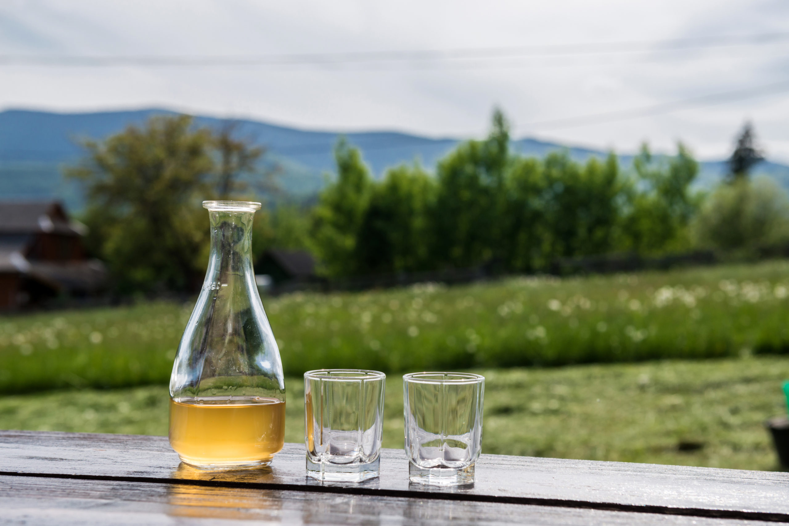 Wayne Gibbons Sweet Yellow Clover by Allen Martin – 2021 National Mead Maker of the Year